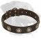 Trendy Leather Collar with silver-like conchos for Rottweiler
