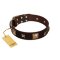 "Choco Dreams" FDT Artisan Brown Leather Rottweiler Collar with Squares and Stars