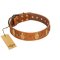 "Glossy Autumn" Designer Handmade FDT Artisan Tan Leather Rottweiler Collar with Ovals and Studs