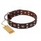 'Pirate Treasure' FDT Artisan Exciting Brown Leather Rottweiler Dog Collar with Studs