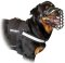 Nylon Harness with reflective strap for Rottweiler