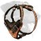 Gorgeous Design Training Leather Rottweiler Harness
