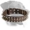Fancy Rottweiler Leather Collar with Spikes and Studs