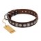 "Step and Sparkle" FDT Artisan Leather Rottweiler Collar Adorned with Fancy Studs