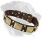 Leather Collar with Brass Massive Plates for Rottweiler