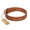 "Natural Beauty" FDT Artisan Tan Leather Rottweiler Collar with Shining Silver-like Studs
