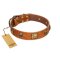 "Knights Templar" FDT Artisan Tan Leather Rottweiler Collar with Skulls and Crossbones Combined with Squares