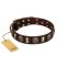 "Skull's Adventure" FDT Artisan Brown Leather Rottweiler Collar with Plates and Ovals