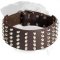 Exceptional Studded Leather Collar for Rottweiler