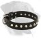 Rottweiler Everyday Leather Collar