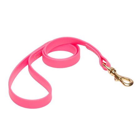 Pink Waterproof Rottweiler Leash Made of Biothane