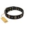 Pirate's Spell' FDT Artisan Black Leather Rottweiler Collar with Engraved Studs and Medallions