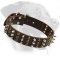 Fabulous Studded and Spiked Leather Collar for Rottweiler