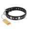 'Space Walk' FDT Artisan Black Leather Rottweiler Dog Collar with Adornments