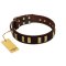 "Peace and Harmony" FDT Artisan Brown Leather Rottweiler Collar with Plates