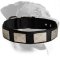 Rottweiler Nylon Collar with Vintage Plates