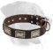 Rottweiler Everyday Collar for Great Dog Appearance