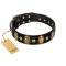 "Venerable Pawty" FDT Artisan Black Leather Rottweiler Collar with Old Bronze-like Ovals and Studs