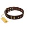 "Choco Delight" FDT Artisan Brown Leather Rottweiler Collar with Old Bronze-like Plates and Studs