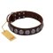 "Charming Circles" FDT Artisan Brown Leather Rottweiler Collar with Silver-like Studs