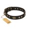 "Perfect Tracery" FDT Artisan Black Leather Rottweiler Collar with Old Bronze Look Plates and Circles