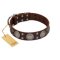 "Sun in Barchans" Modern FDT Artisan Brown Leather Rottweiler Collar with Engraved Stars on Round Plates and Studs