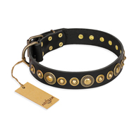 'Gold Mine' FDT Artisan Rottweiler Black Leather Dog Collar with Amazing Bronze-Plated Round Studs