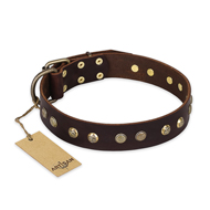 'Bronze Sheen' FDT Artisan Rottweiler Brown Leather Dog Collar with Old Bronze-Like Plated Studs - 1 1/2 inch (40 mm) wide