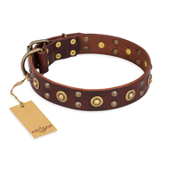 'Caprice of Fashion' FDT Artisan Rottweiler Brown Leather Dog Collar with Round Decorations