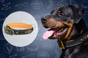 Leather Dog Collar