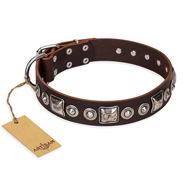 'Pierian spring' FDT Artisan Brown Leather Rottweiler Dog Collar with Silvery Decorations - 1 1/2 inch (40 mm) wide