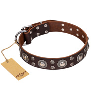 'Age of Beauty' FDT Artisan Incredible Studded Brown Leather Rottweiler Collar