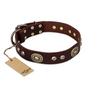'Breath of Elegance' FDT Artisan Decorated with Plates Brown Leather Rottweiler Collar