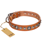 'Daily Chic' FDT Artisan Tan Leather Rottweiler Collar with Decorations