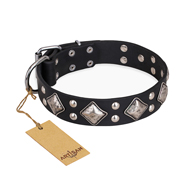 "Smart Geometry" FDT Artisan Studded Leather Rottweiler Collar for Daily Walking "Smart Geometry" FDT Artisan Studded Leather Rottweiler Collar for Daily Walking