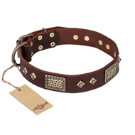 FDT Artisan 'Loving Owner' Decorated Leather Rottweiler Dog Collar with Plates and Studs 1 1/2 inch (40 mm)