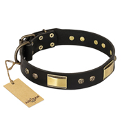 FDT Artisan 'Black Sun' Leather Rottweiler Collar with Brass Plated Decorations - 1 1/2 inch (40mm) wide