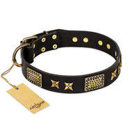 'Passion for Style and Beauty' FDT Artisan Black Leather Rottweiler Collar with Goldish Studs and Plates