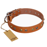 'Golden'n'Silver Luxury' FDT Artisan Leather Rottweiler Collar with Engraved Studs