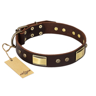 FDT Artisan 'Rich Fashion' Decorated Leather Rottweiler Collar with Plates and Studs - 1 1/2 inch (40 mm) wide