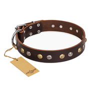 'Rare Flower' FDT Artisan Brown Leather Rottweiler Collar