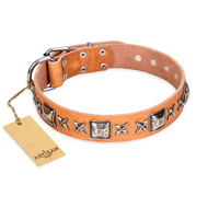 'Silver Chic' FDT Artisan Tan Leather Rottweiler Collar with Silvery-plated Decorations