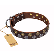 'Strong Shields' FDT Artisan Leather Rottweiler Collar with Bronze and Chrome Plated Studs