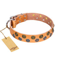 "Precious Sparkle" FDT Artisan Handcrafted Tan Leather Rottweiler Collar "Precious Sparkle" FDT Artisan Handcrafted Tan Leather Rottweiler Collar