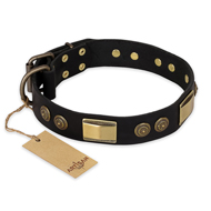 "Ancient Egypt" Designer FDT Artisan Black Leather Rottweiler Collar with Stunning Brass Decorations "Ancient Egypt" Designer FDT Artisan Black Leather Rottweiler Collar with Stunning Brass Decorations