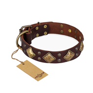 'Golden Square' FDT Artisan Brown Leather Rottweiler Collar with Large Squares - 1 1/2 inch (40 mm) wide