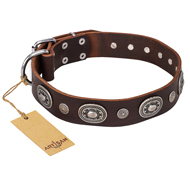 'Extra Pizzazz' FDT Artisan Adorned Brown Leather Rottweiler Collar