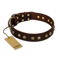 'Fashion Studs' FDT Artisan Decorated Leather Rottweiler Collar with Old Bronze-Plated Steel Hardware 1 1/2 inch (40 mm) Wide