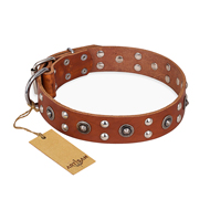 'Silver Elegance' FDT Artisan Leather Tan Rottweiler Collar with Old Silver-Like Plated Studs and Cones 1 1/2 inch (40 mm) Wide