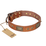 'Catchy Look' FDT Artisan Decorated Tan Leather Rottweiler Collar
